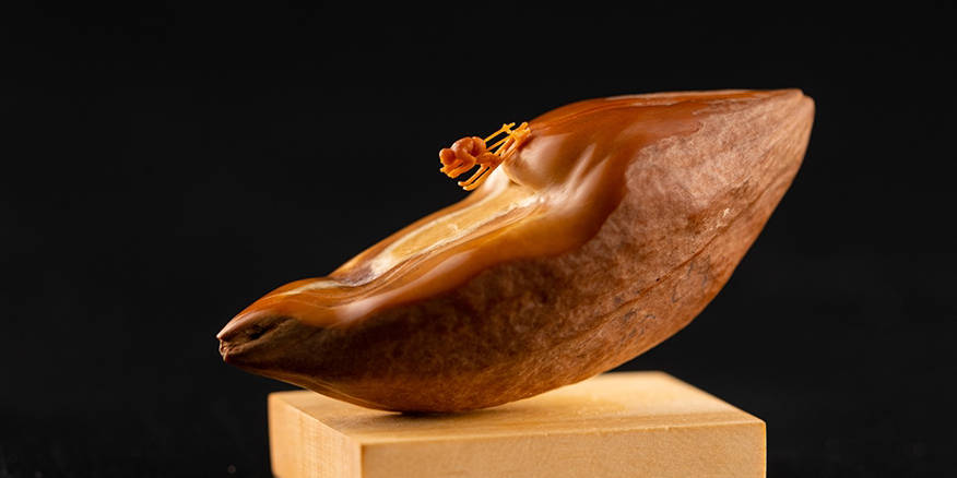 每日视频 每日视频“财经 每日解读”