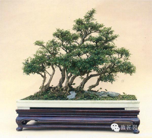 每日视频 每日视频“财经 每日解读”