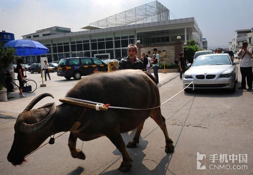 不卡无在线一区二区三区观 区区区观手机电脑用久了