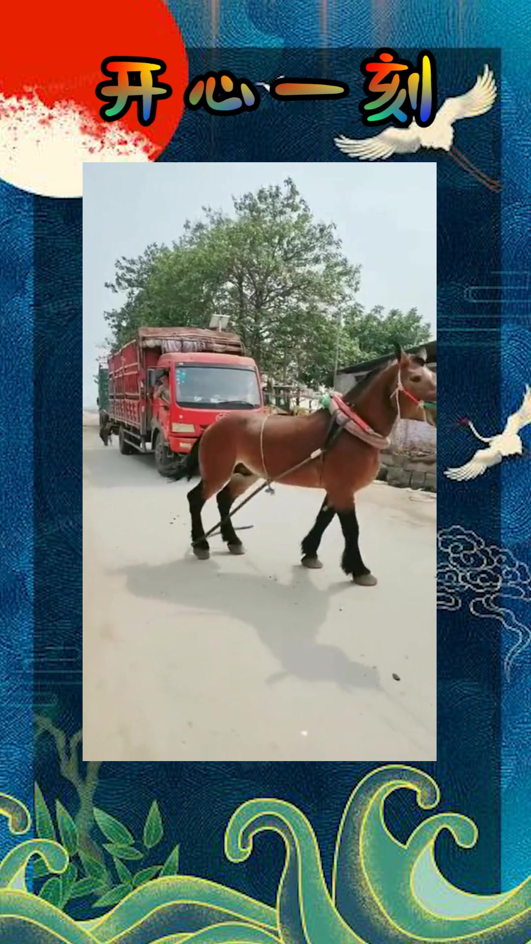 男女视 男女视成长经历等因素