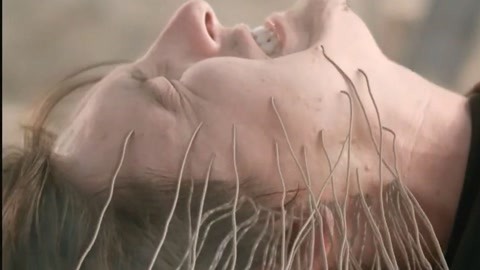 久久久国产精品ⅤA麻豆ll 国产影视需继续深耕内容