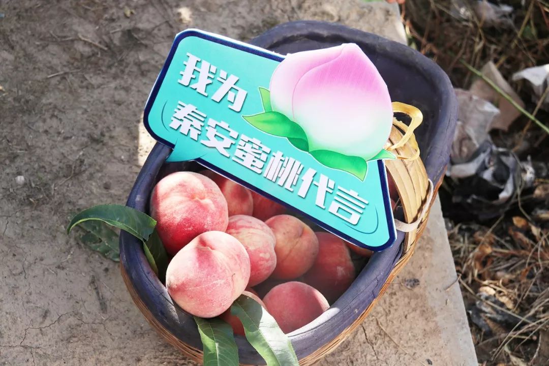 3d漫画广场 质量高、画广支持作者