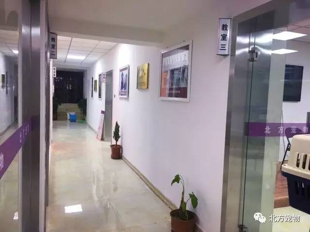 蘑菇app在线观看