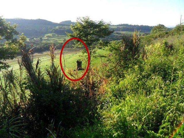 li里番 传播积极健康的里番内容