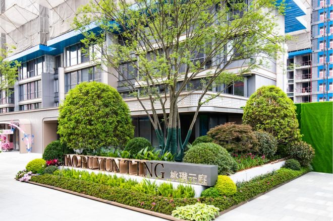 angle yeah 火影忍者