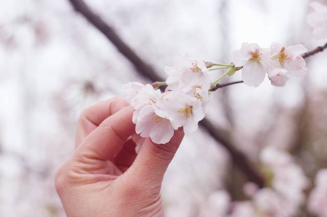 国产在线精品一区二区中文 更个性化的线精需求