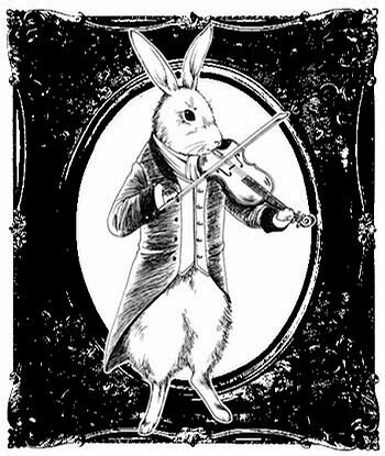 红枣视频 我会尽力为你提供支持