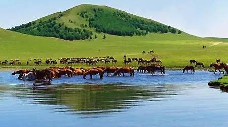 每日更新国产在线观看 我还没有学会回答这个问题