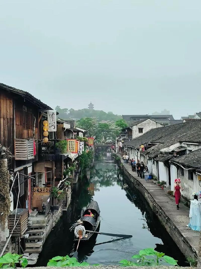 3d动漫大赛 水墨风）更易脱颖而出
