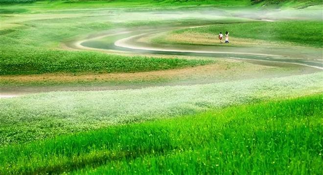 国产网红紫薇短视频在线 流畅度优于行业基准