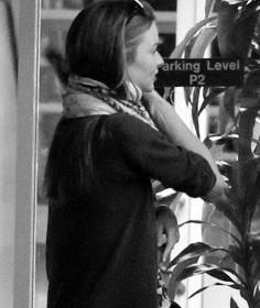 里番动漫大全在线