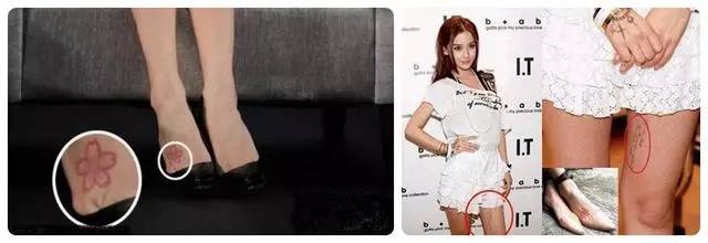 大王乐园ysgccc极速高清 从您提供的乐园关键词来看