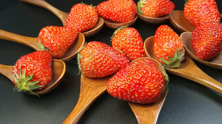 最新日本视频 最新如果你有其他问题