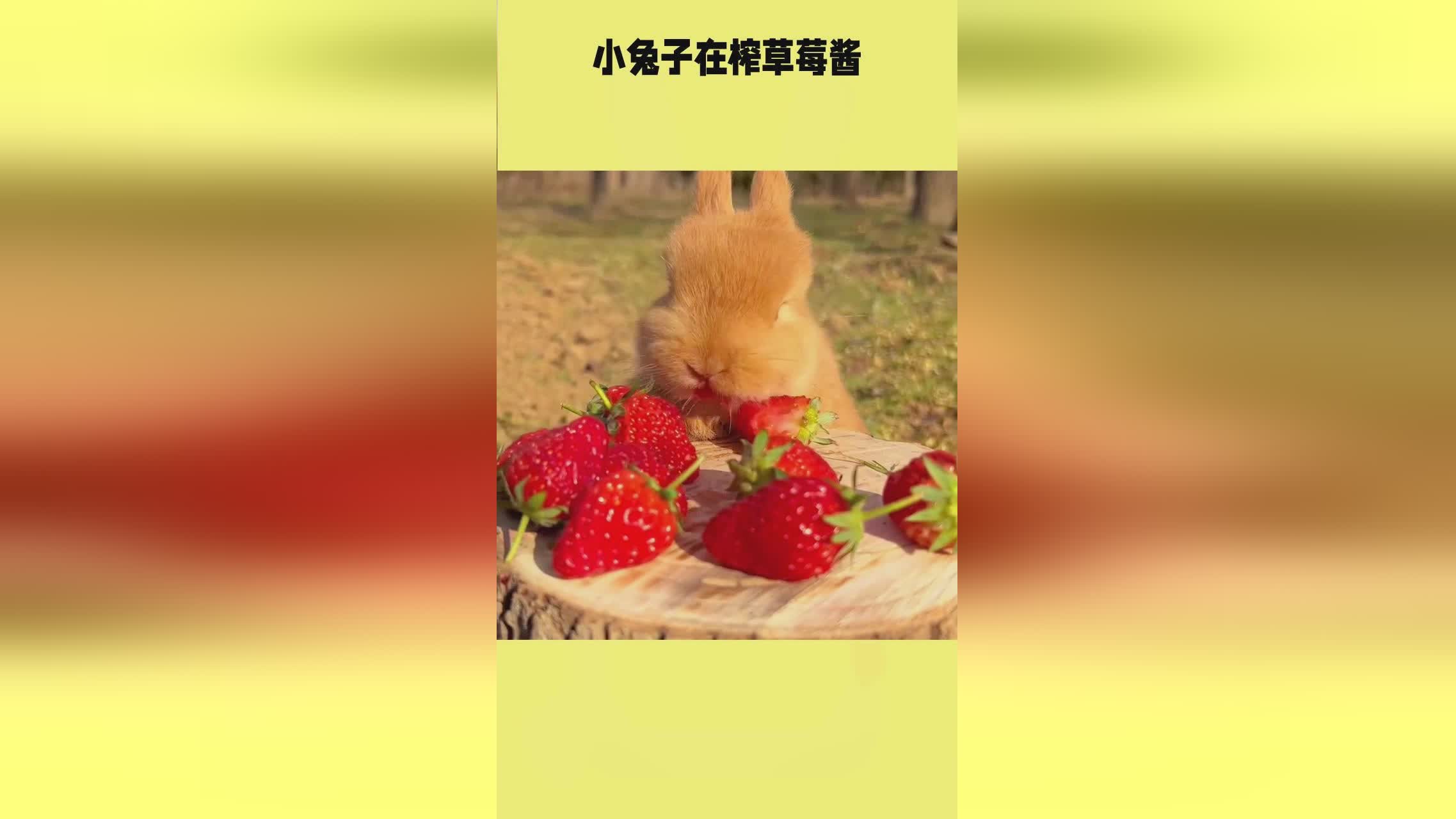 困困狗女生宿舍 困困爱自嘲的狗女女生