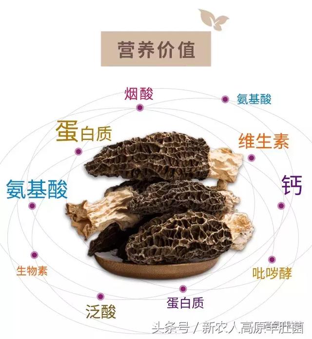 堂火影忍者本子 我还没有学会回答这个问题