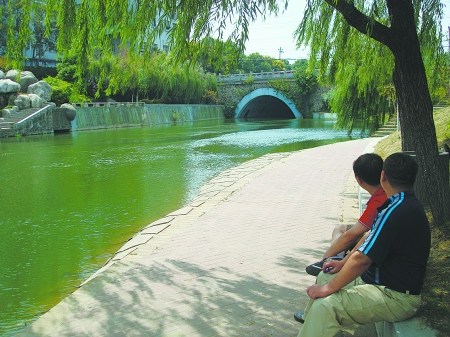 午夜的视频 午夜请提供更多细节
