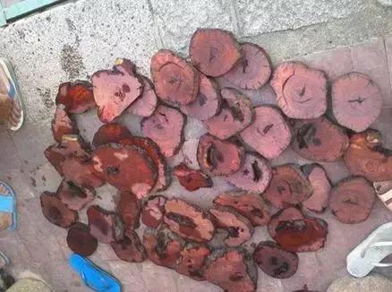 201991久久蜜桃天堂国产精品