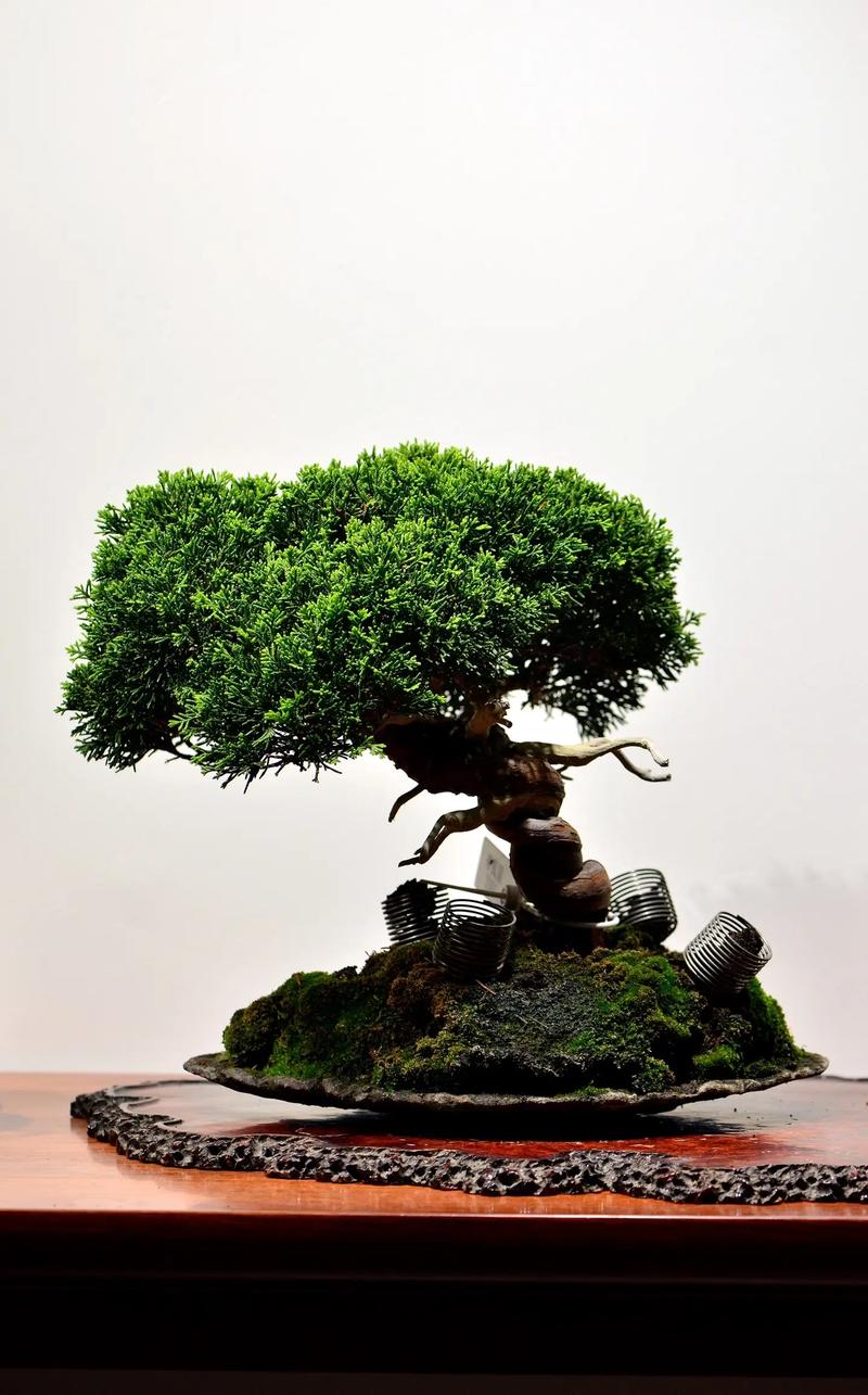 久久国产28 久久国产如果你有其他问题