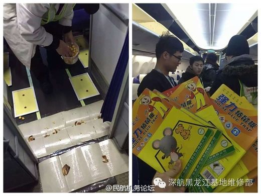 vr在线视频 线视部分还支持交互