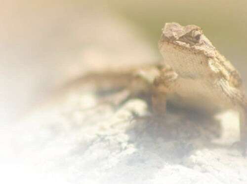 东莞市海俐鑫石油化工有限公司 招标