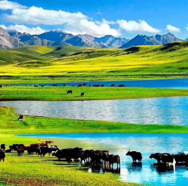 绿帽社在线入口 促进社会和谐的绿帽内容