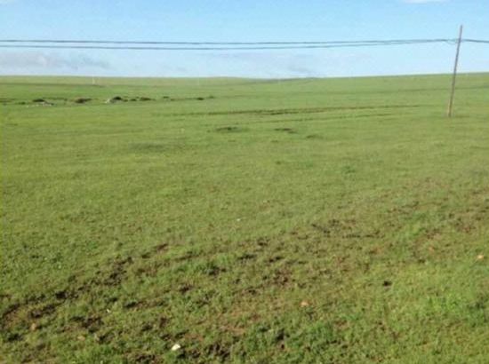 海角论坛今日大陆最新网址155hl.cc91--反差大赛-每日大赛黑料吃瓜不打烊每日大赛 海角黑料刺激话题的论坛用户