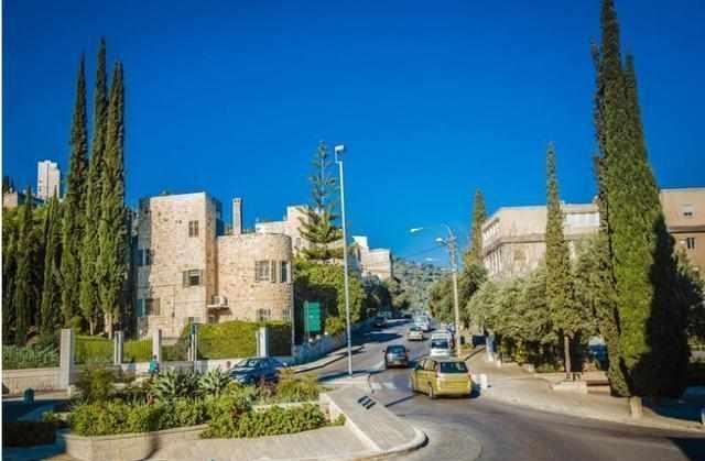 法国啄木鸟公司电影