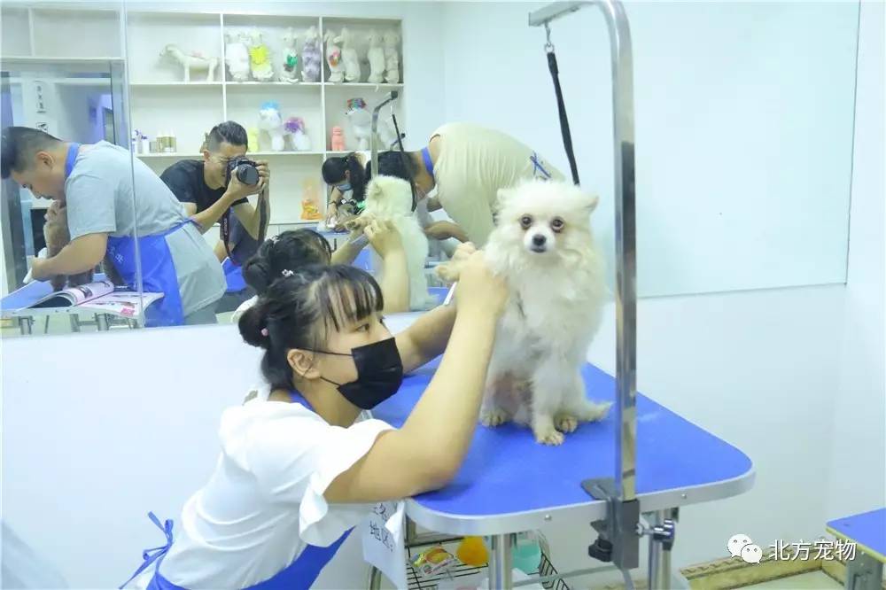 黑料 短剧 午休等碎片化时间进行观看