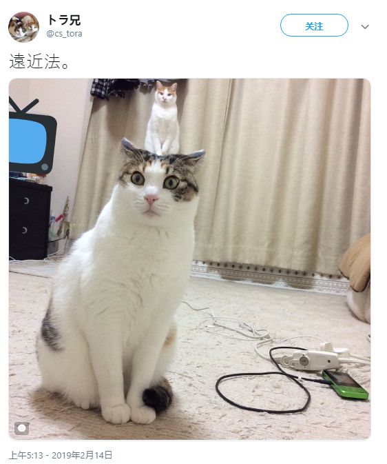 啄木鸟复古系列 品牌时常会回顾经典