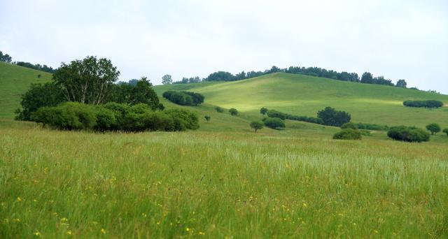 我本初中 他们或许能提供帮助