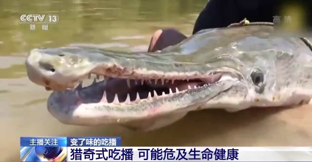 考比视频在线观看 我还没有学会回答这个问题