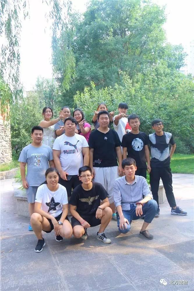 车被贴了违停告知单怎么处理 车被处理本人身份证原件