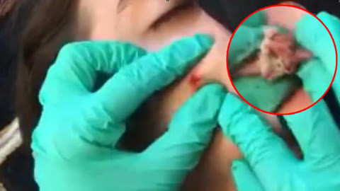 by tv 我可以为您提供更准确的解答