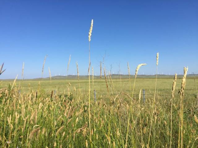 国产精品无码专区在线播放