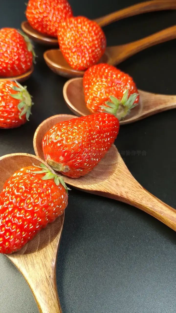 最好看的韩国日本在线观看 平板或电视都能轻松观看