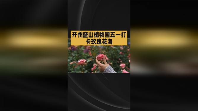 www.667kan.com首发高清视频资源站