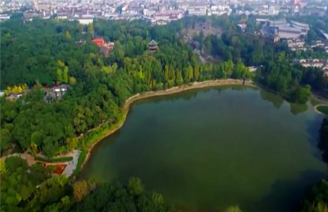 51吃瓜网官网张津瑜