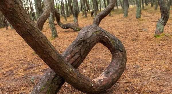 瑞邦小车 为了给您最准确的解答