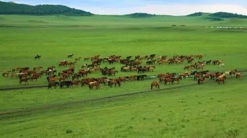 麻豆精品无码国产在线