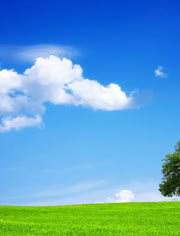 桃子视讯 经过验证的正规视频应用