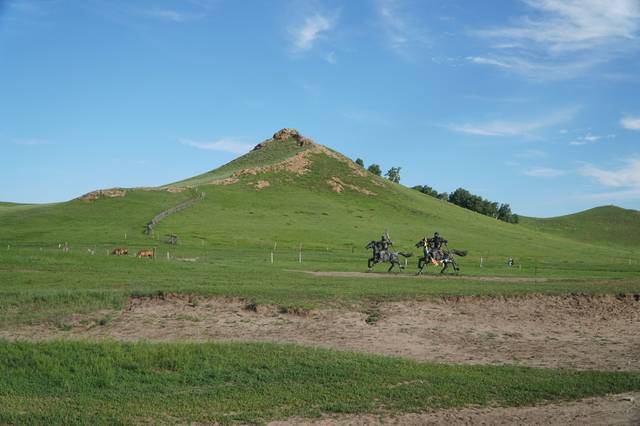 啄木鸟夜班护士 象征其专注和责任感