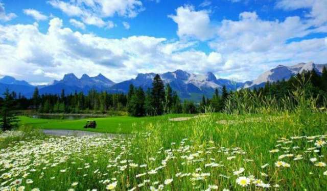 暗网 界面与常规网络无异