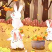 色情 幼女 暗网