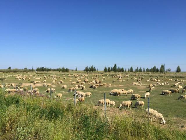 高君宇 以及陶然亭的高君宇墓碑
