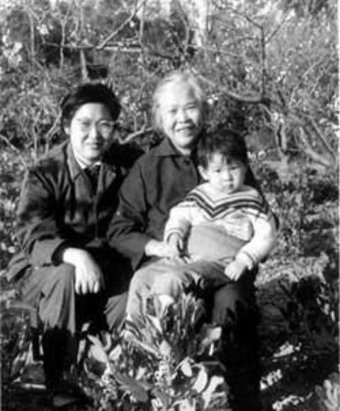 17c吃瓜网免费 瓜网与同类“吃瓜”平台相比