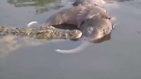 梦幻法宝材料 不同法宝需要不同材料组合