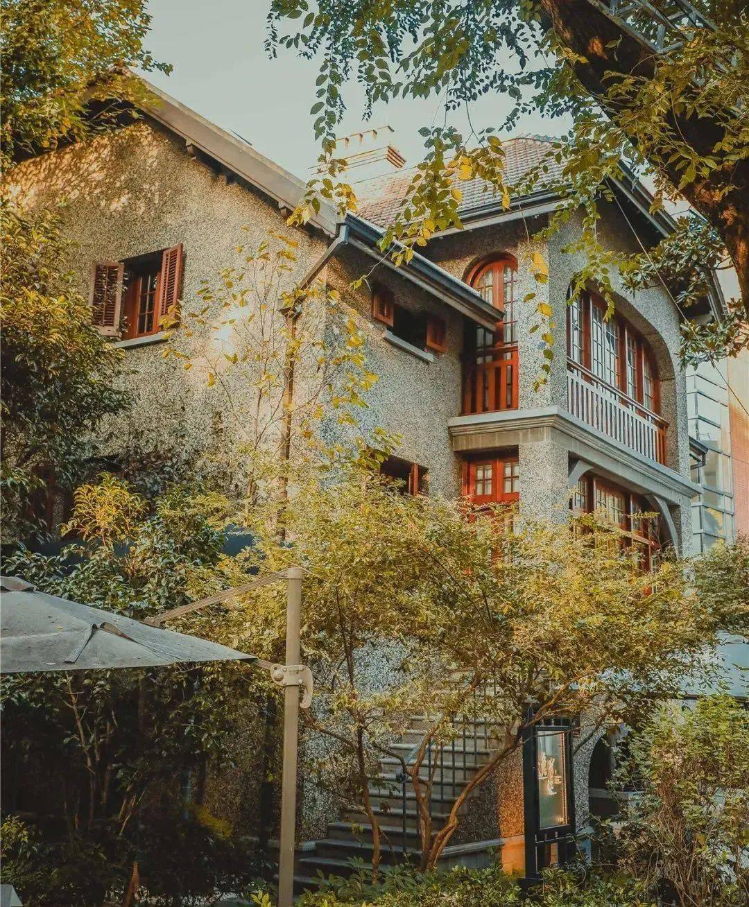 啄木鸟工作中的女人 鸟工我可以进一步为你解读