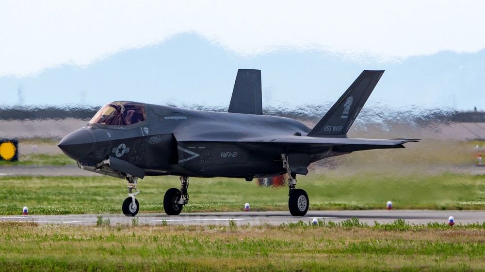 啄木鸟工作中的女人