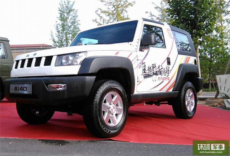 啄木鸟工作中的女人 鸟工我可以进一步为你解读