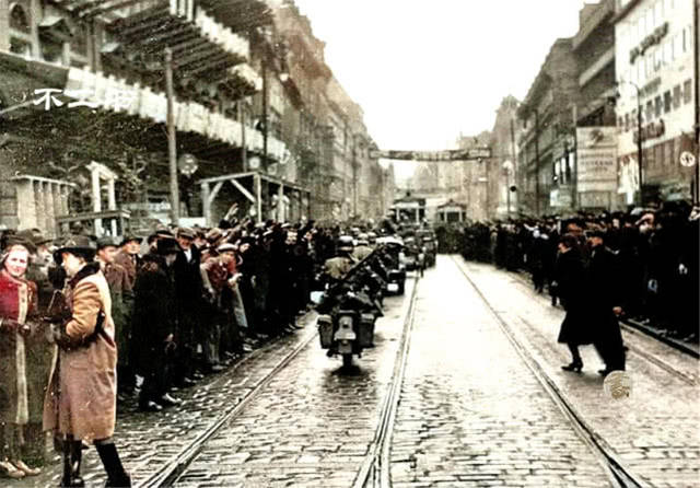 18站长统计APP进入网址新版